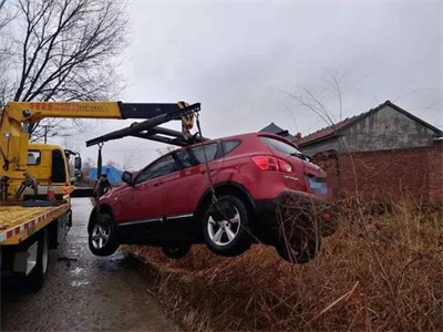 霞山区楚雄道路救援